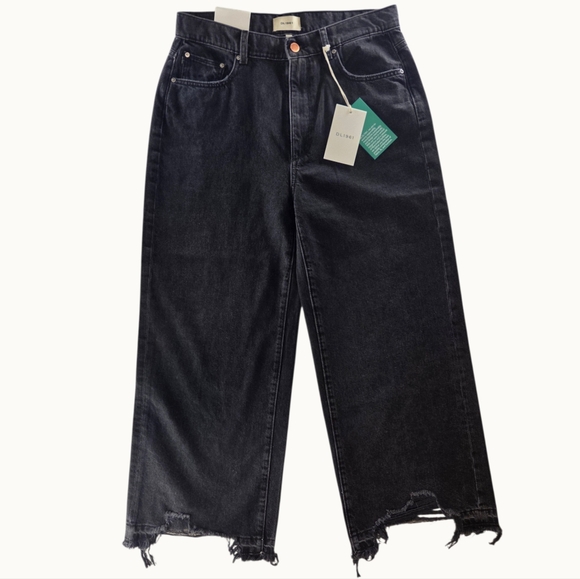 NWT DL1961 Hepburn Wide Leg High Rise Ankle Jeans | Sustainable Luxury Denim - Picture 2 of 9